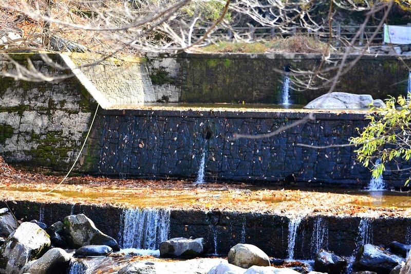 국립유명산자연휴양림 시설 사진 8