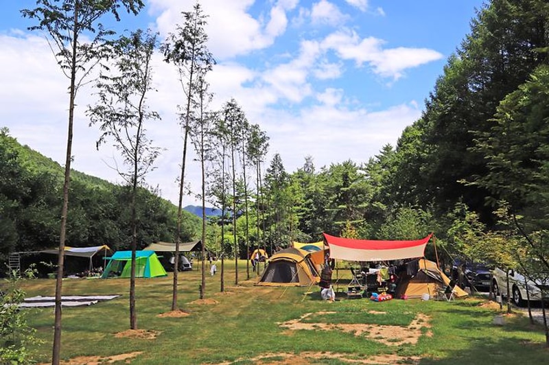 피노키오 자연휴양림 야영장 대표 사진