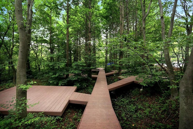 노꼬담꼬 시설 사진 30