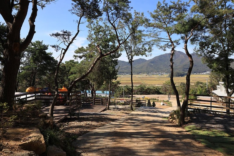 강화도 아침 숲속야영장 시설 사진 30