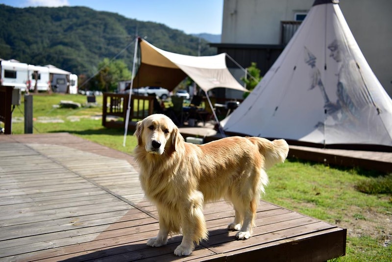 올덴캠핑장 시설 사진 2