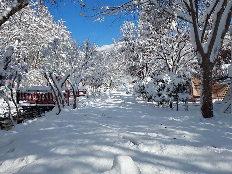 횡성산울림오토캠핑장 시설 사진 37