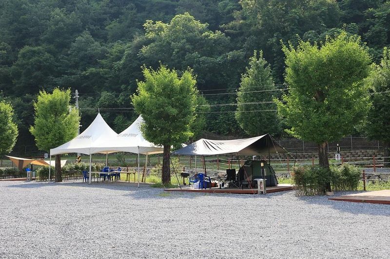 코끼리마을 시설 사진 9