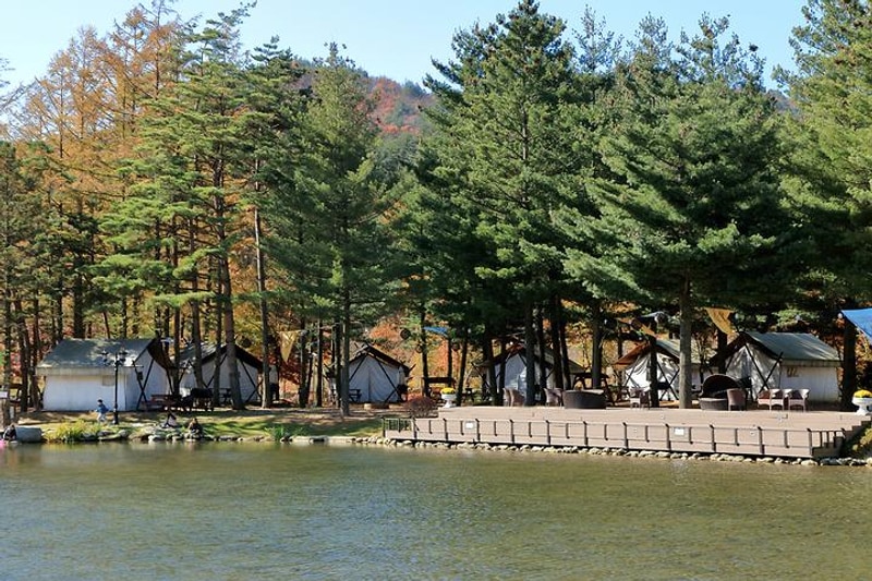 켄싱턴 호텔 평창 글램핑 빌리지 대표 사진