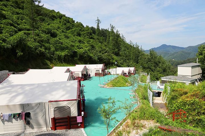 강촌 감성 글램핑 대표 사진