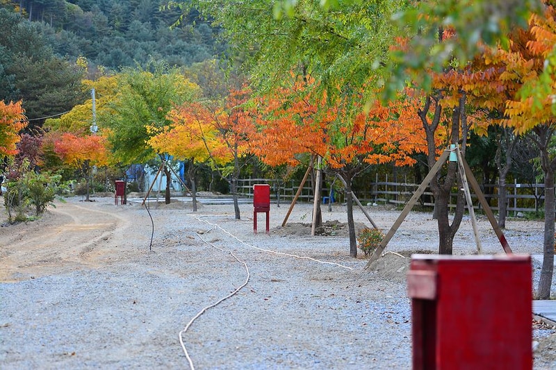 가평 물골숲 계곡 캠핑장 시설 사진 5