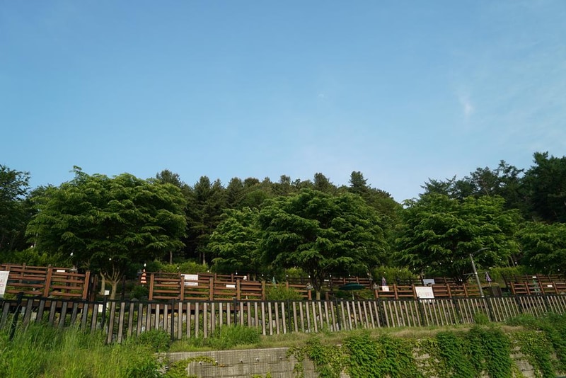 소요별앤숲테마파크 시설 사진 6