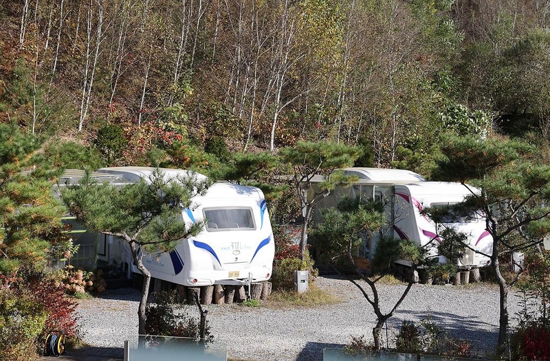 청계호수 자작나무숲 캠핑장 시설 사진 17