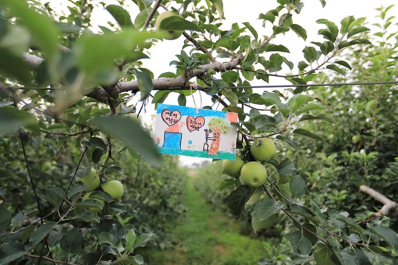 사과랑 관광농원 시설 사진 15