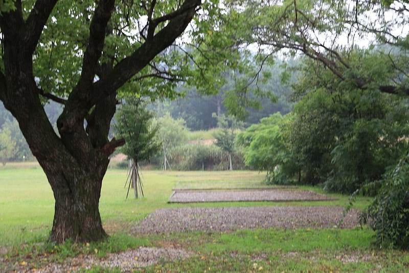 숲속의드림캠프야영장 시설 사진 7