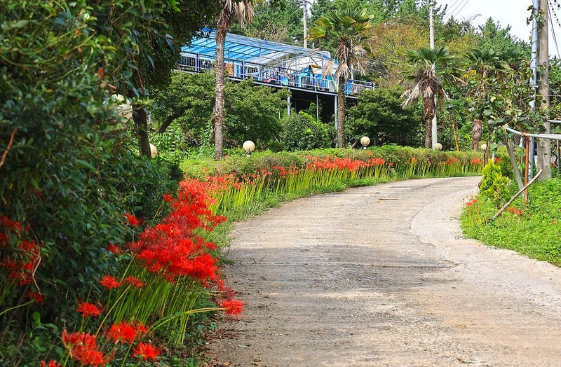남해 에덴 캠핑장 시설 사진 14
