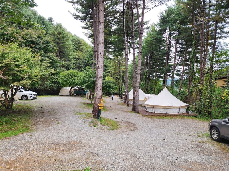 리틀 포레스트 캠핑 시설 사진 16