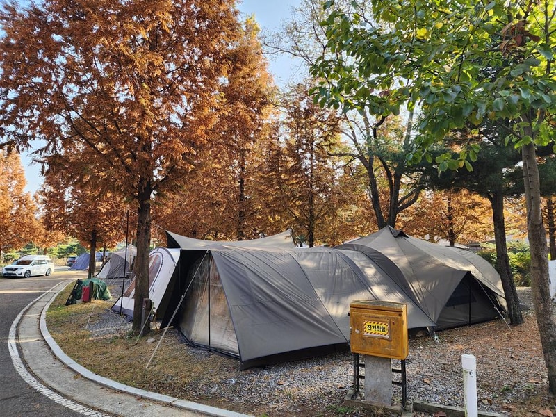 김포캠핑파크 주식회사 시설 사진 6