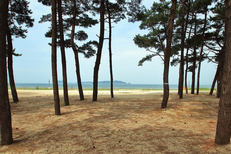 마검포 힐링캠핑장 시설 사진 2