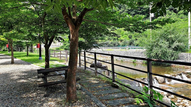 단양 남천 야영장 시설 사진 11