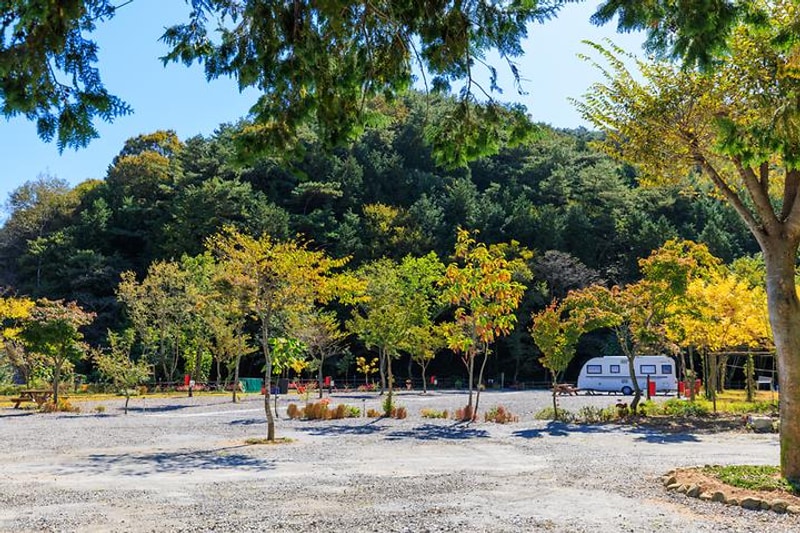 마실야영장 대표 사진