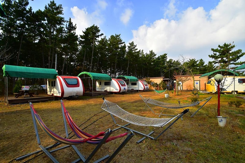 버디버디 시설 사진 5