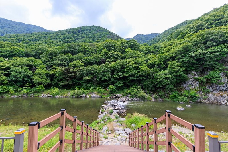 수리바위 캠핑정원 시설 사진 26