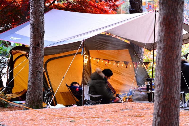 푸른숲캠핑장 시설 사진 3