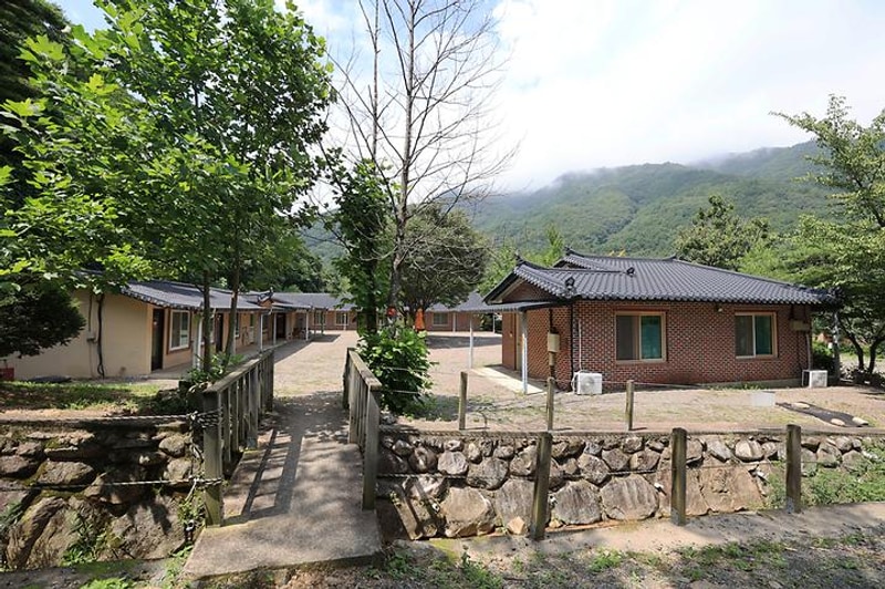 비발디 캠핑파크 설악오색점 대표 사진