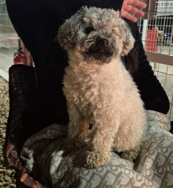 개네집캠핑장 대표 사진