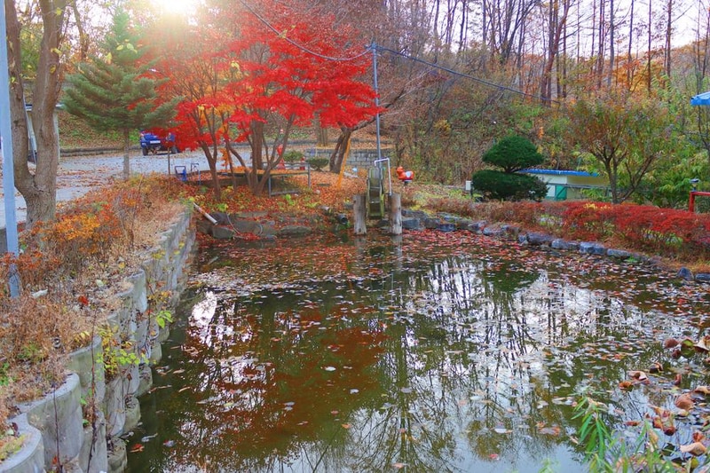 캠핑하는 집 시설 사진 6