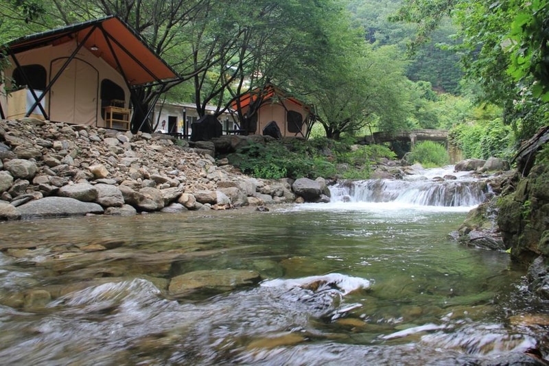 팜스테이 글램핑 앤 펜션 시설 사진 9