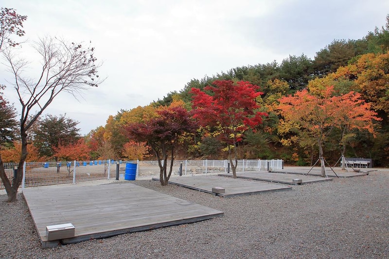 80 SS 오토캠핑장 시설 사진 20