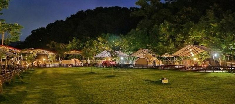 루파니애견캠핑장 대표 사진