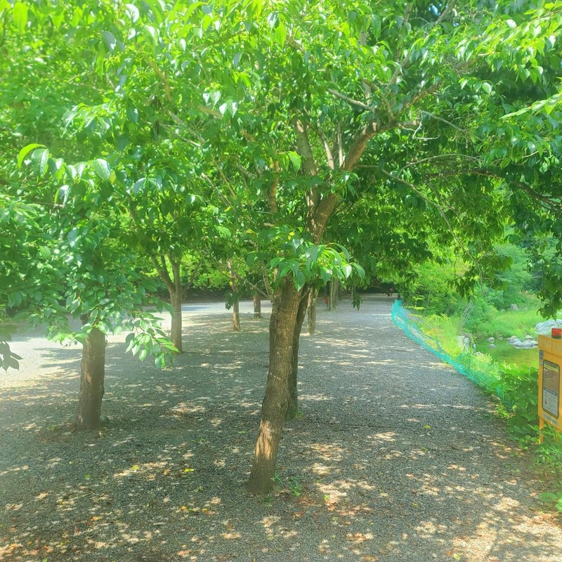 별삼킨별캠핑장 시설 사진 19