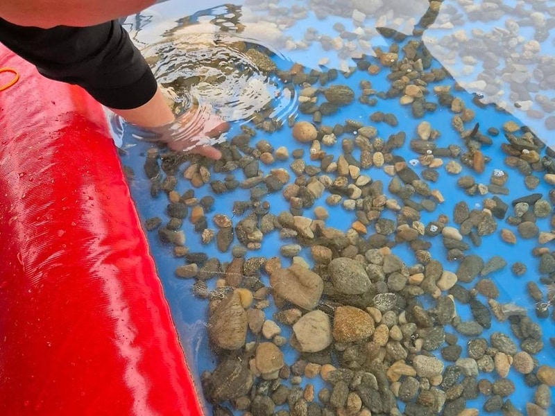 대암 팜트리 시설 사진 7