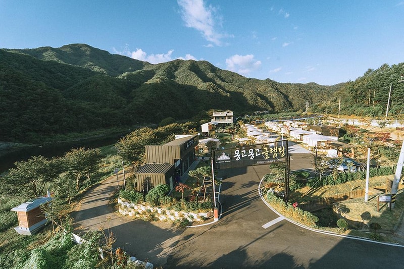 몽고몽고글램핑 시설 사진 10