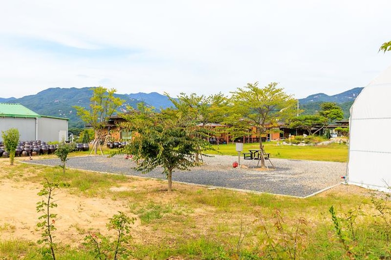 해밀터 대표 사진