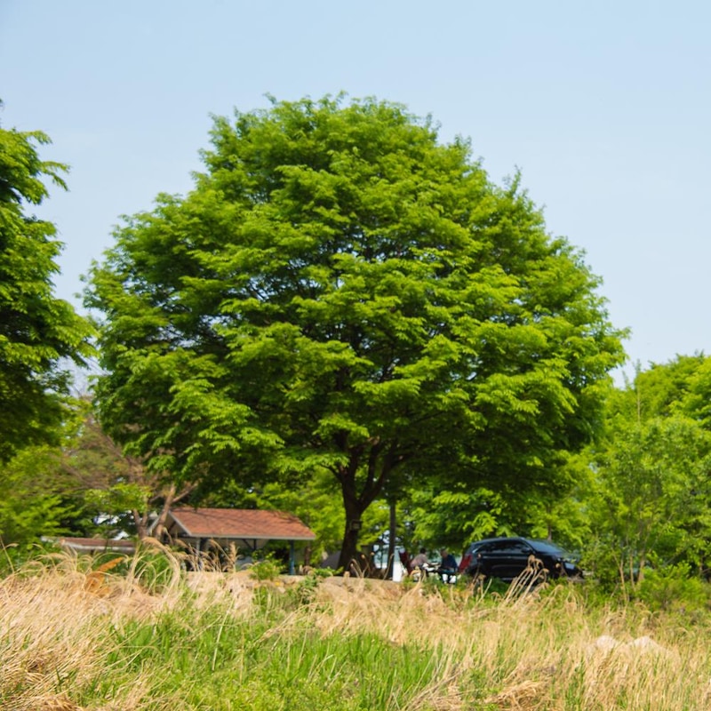 구름계곡캠핑장 시설 사진 24
