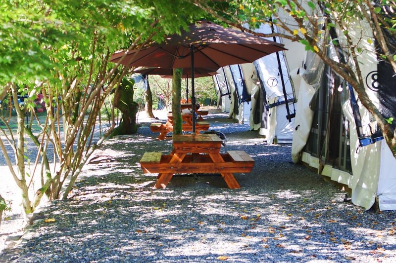 거목 글램핑 시설 사진 15