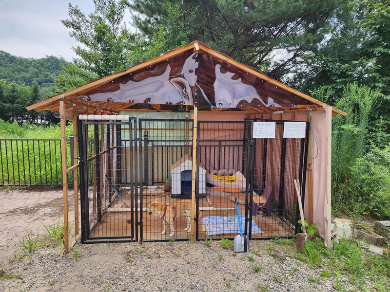 인더풀 글램핑 시설 사진 8