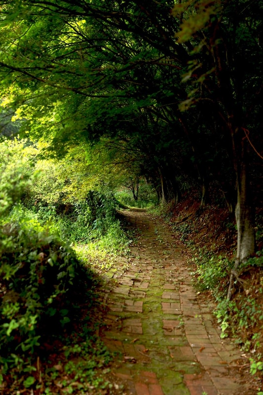 들꽃피는언덕 캠핑장 시설 사진 15