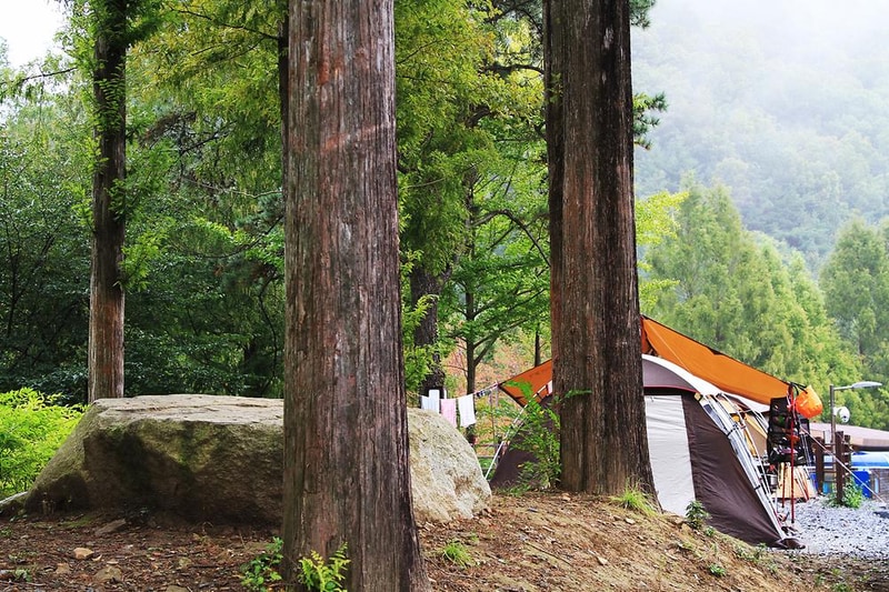 장태산 자연휴양림 시설 사진 11