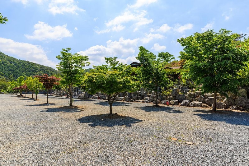 별바라기 캠핑 펜션 시설 사진 11