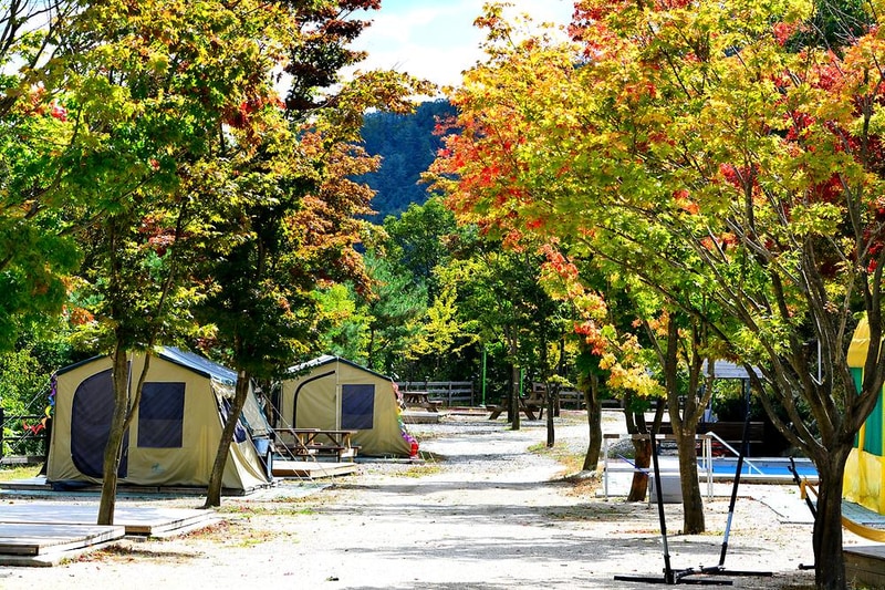 코끼리캠핑장 시설 사진 17