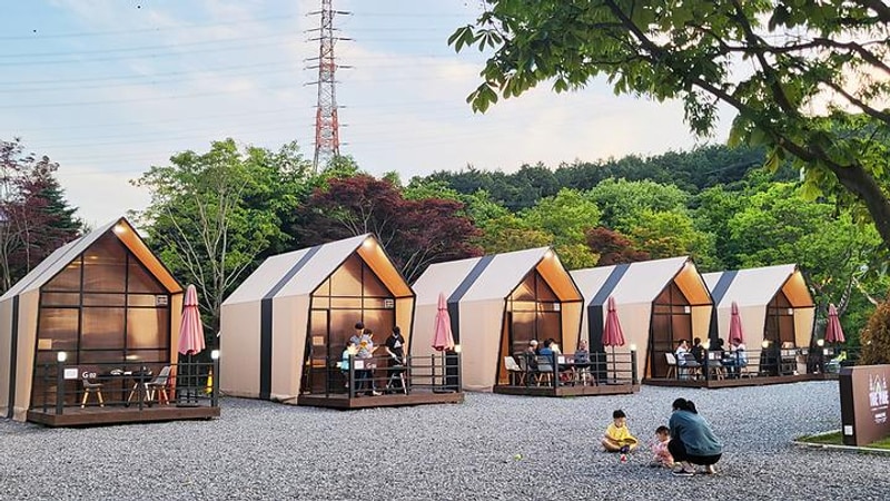 더파인캠핑 대표 사진