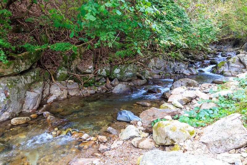 라온밸리캠핑장 시설 사진 8