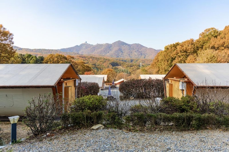 초막골생태공원 느티나무야영장 시설 사진 75