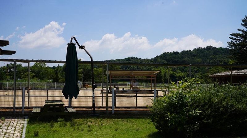 에코캠핑장 시설 사진 8