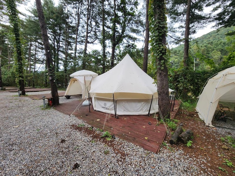 리틀 포레스트 캠핑 시설 사진 13