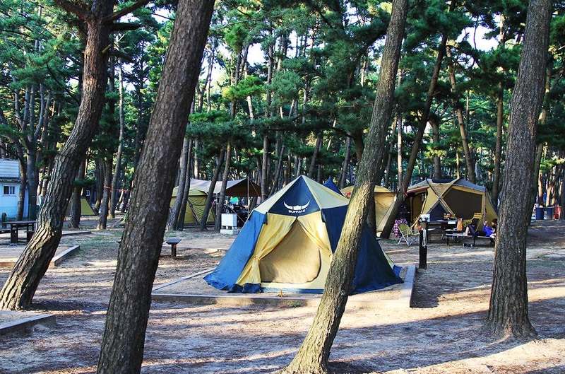 몽산포 자동차 야영장 시설 사진 8