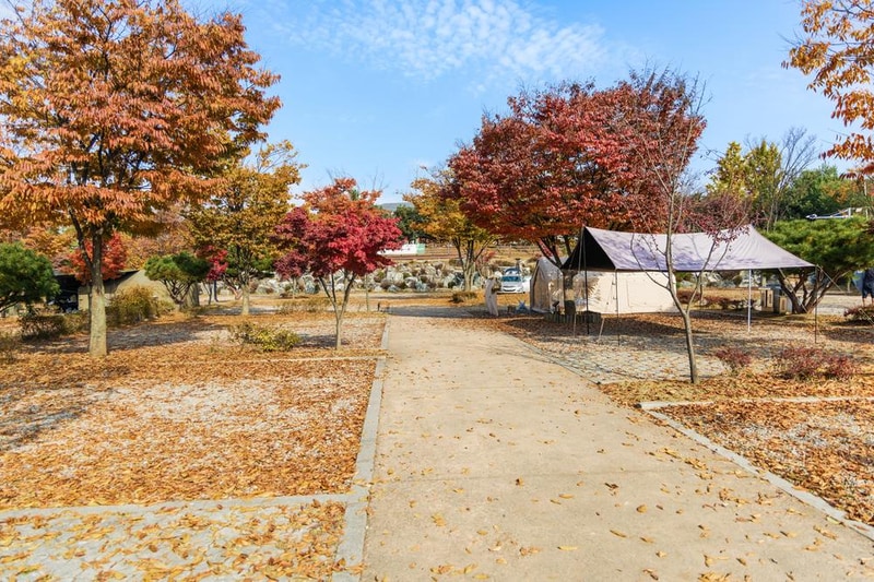 화성시 향남 오토캠핑장 시설 사진 64