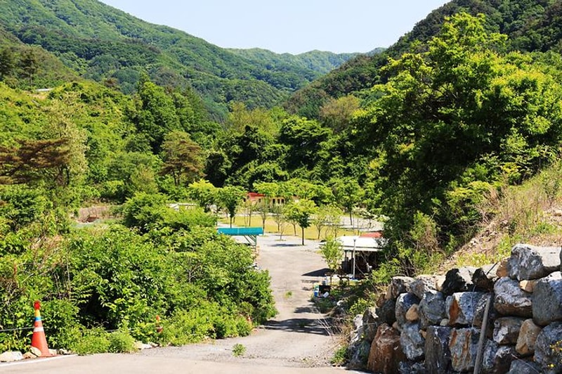 캠프 어라운드 대표 사진