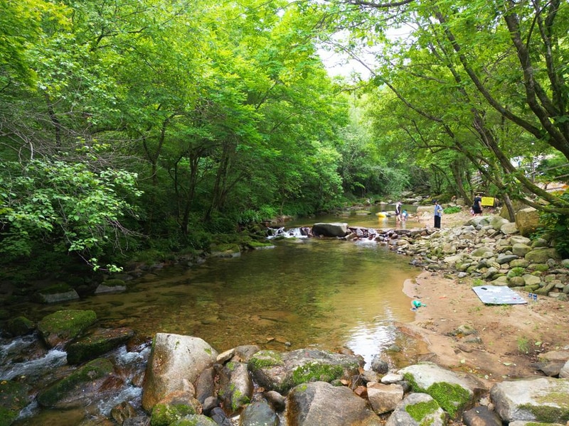 유포리아 캠핑장 시설 사진 18