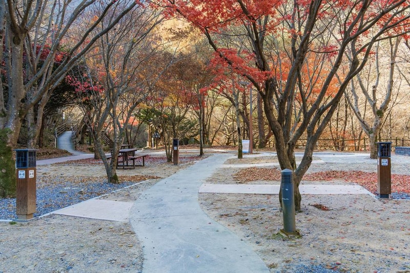 소백산국립공원 남천야영장 시설 사진 26